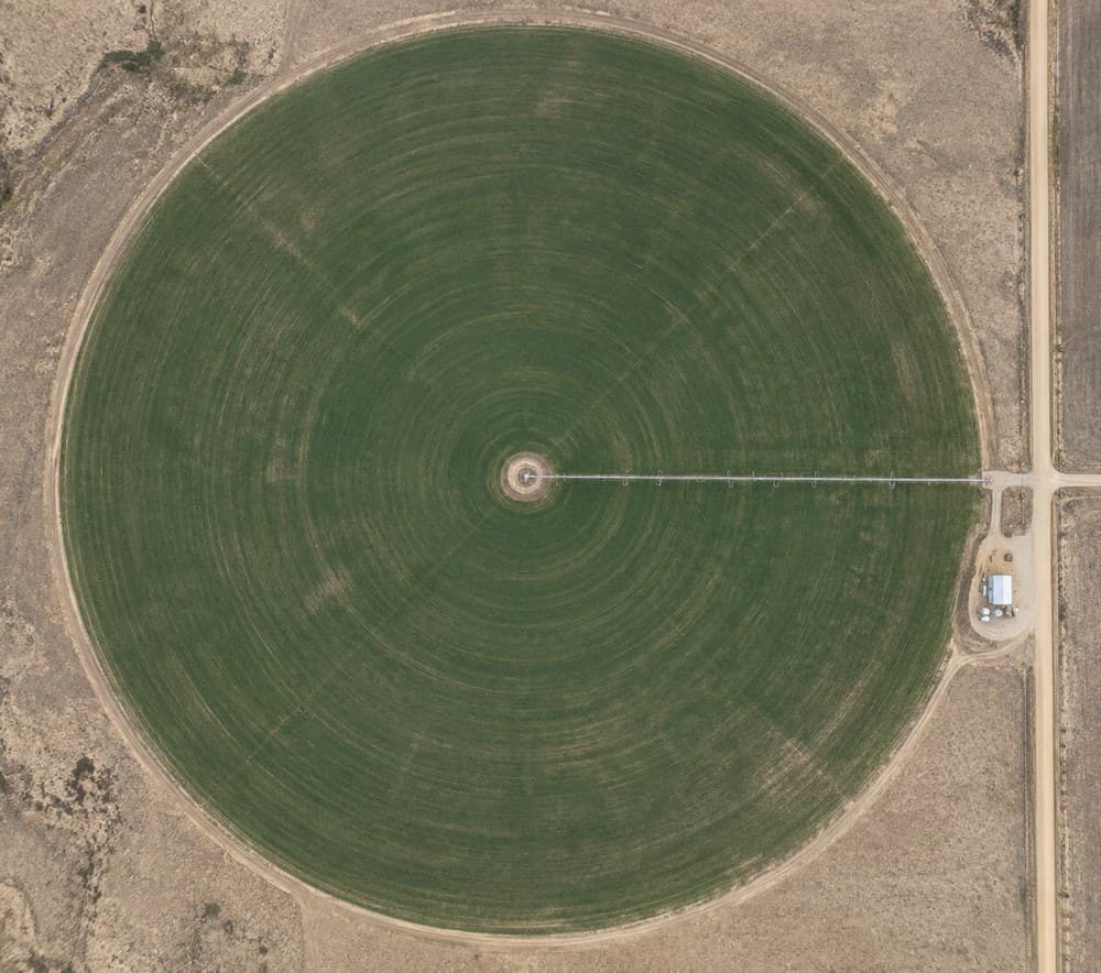 A center-pivot irrigated field from above, still in production